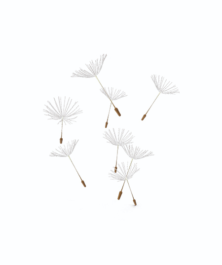 Signature Jessie Vent de fraîcheur